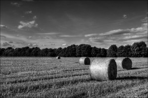 bale of straw (V)